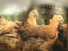 -远洋未来广场(育慧北路店)