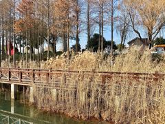 -苏州太湖湖滨国家湿地公园