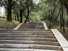 -黄帝陵