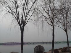 -丁香湖公园