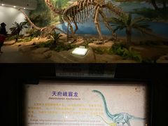-自贡恐龙博物馆