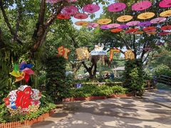 -广州长隆飞鸟乐园