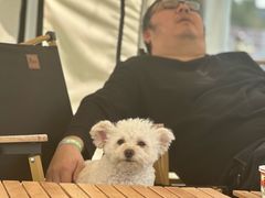 -上庄晋风庄园(上庄店)