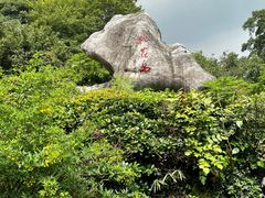 -桃花岛景观公园