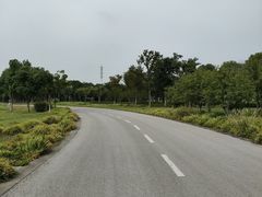 -贡湖湾湿地公园