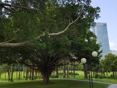 -荔香公园
