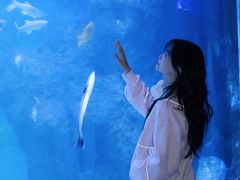 -左海海底世界