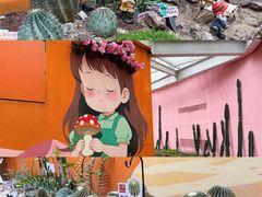 -正佳雨林生态植物园