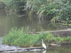 -浙江科技大学(小和山校区)