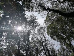 -火炉山森林公园