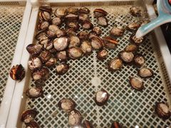 -映像威海·海鲜味道(经区店)