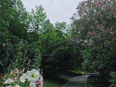 -新江湾城公园