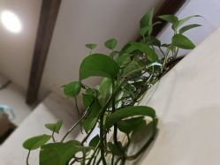 -M+hair salon专业造型沙龙