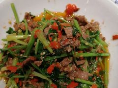 -壹盏灯(惠农店)