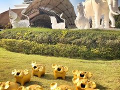 -清迈夜间动物园