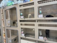 -唐小姐の私宠·宠物洗护美容·撸猫馆·购宠(周浦万达旗舰店)