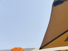 -后湖小院·乡野田园菜