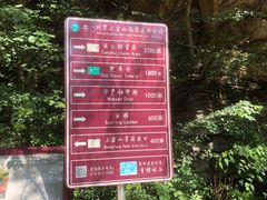 -北京上方山国家森林公园