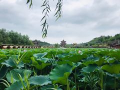 -渭南桃花源民俗文化园