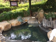 -威海天沐温泉度假区