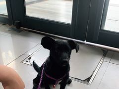 -爱侣宠医·鹦鹉专科·小型哺乳类·异宠专科(灵石路店)