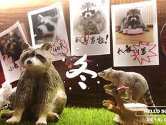 大堂-赤谷和牛烧肉居酒屋(石景山店)