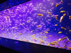 -成都浩海立方海洋公园