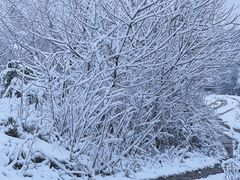 -武汉紫薇都市田园