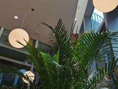 -Toris(LuOne凯德晶萃广场店)