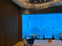 -海棠湾洲际-涛·海底餐厅·美人鱼·自助餐·海底隧道