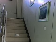 -北京观赏动物医院·24小时大型综合·猫专科·异宠专科