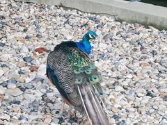 -南京金牛湖风景区