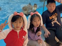 -帝企鹅自助餐厅•儿童岛•真企鹅(长隆企鹅酒店)