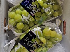 -沈阳市八家子水果批发市场