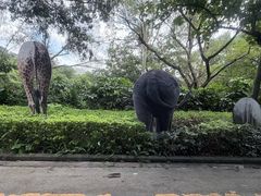 -深圳野生动物园