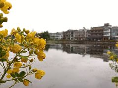 -大理洱海