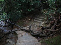 -灵隐飞来峰景区