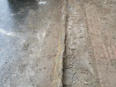 八宝椰子饭-良昌老味·海南老字号