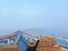 -星海湾跨海大桥