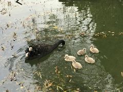 -长兴太湖图影湿地文化园