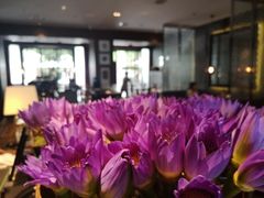-莲西餐(曲江店)