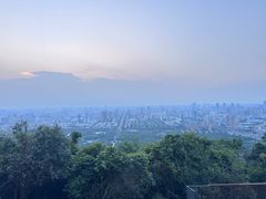 -合肥野生动物园