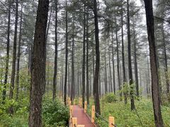 -塞罕坝国家级自然保护区