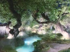 -Chom Cafe and Restaurant