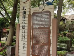 -大湾区中央湿地公园