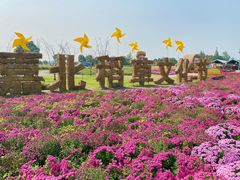 -嘉北郊野公园