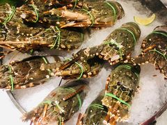 -沈阳和平艾美酒店新食谱西餐厅