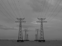 -宝安西湾红树林湿地公园