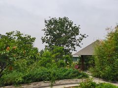 -金隅凤山酒店
