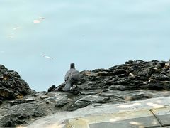 -团结湖公园